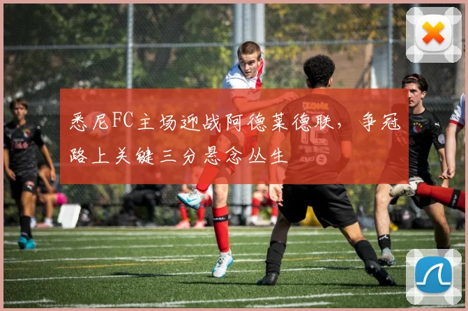 悉尼FC主场迎战阿德莱德联，争冠路上关键三分悬念丛生